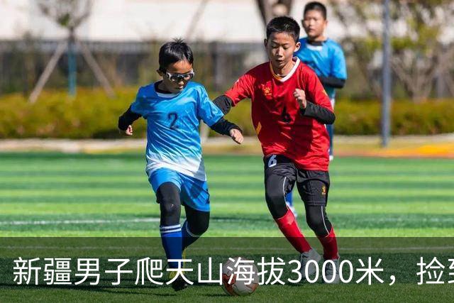 新疆男子爬天山海拔3000米，捡到价值两万的天山翠原石
